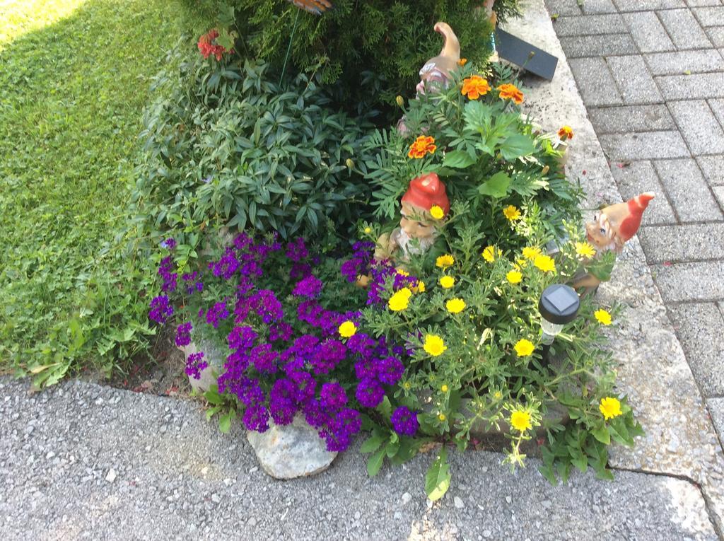 Haus Eder Burgi Hotel Nikolsdorf ภายนอก รูปภาพ
