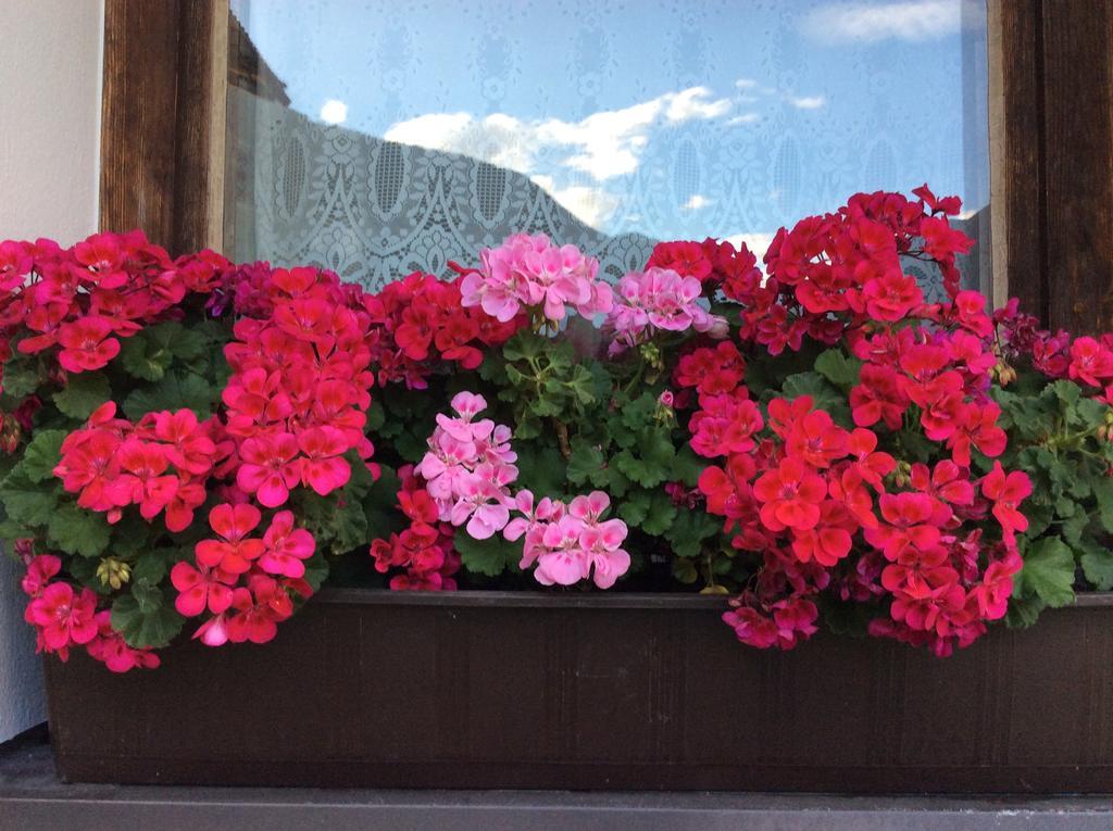 Haus Eder Burgi Hotel Nikolsdorf ภายนอก รูปภาพ